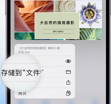 吉林apple维修中心分享iPhone文件应用中存储和找到下载文件