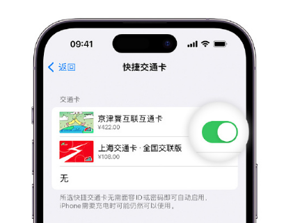 吉林apple维修点分享iPhone上更换Apple Pay快捷交通卡手绘卡面 