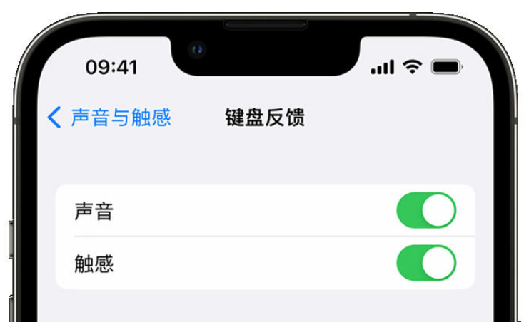 吉林苹果手机维修分享iPhone 14触感键盘使用方法 