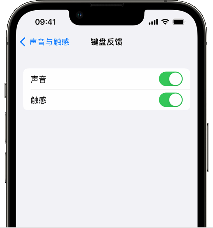 吉林苹果14维修店分享如何在 iPhone 14 机型中使用触感键盘 