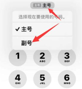 吉林苹果14维修店分享iPhone 14 Pro Max使用副卡打电话的方法 