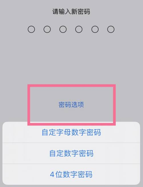 吉林苹果14维修分享iPhone 14plus设置密码的方法 