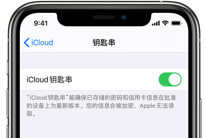 吉林苹果手机维修分享在 iPhone 上开启 iCloud 钥匙串之后会储存哪些信息 