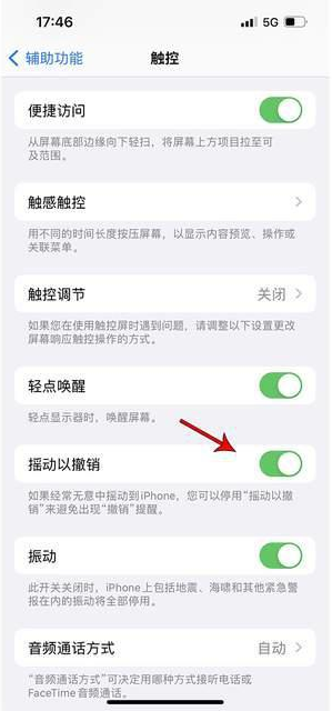 吉林苹果手机维修分享iPhone手机如何设置摇一摇删除文字 